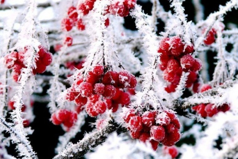 До - 20 Мороза