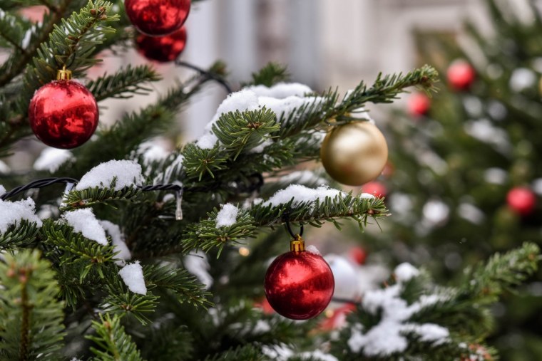 Ель на новый год