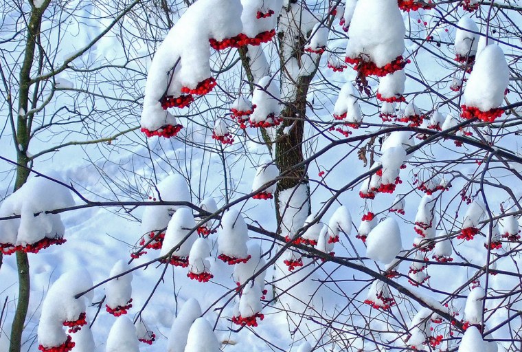 Зима декабрь