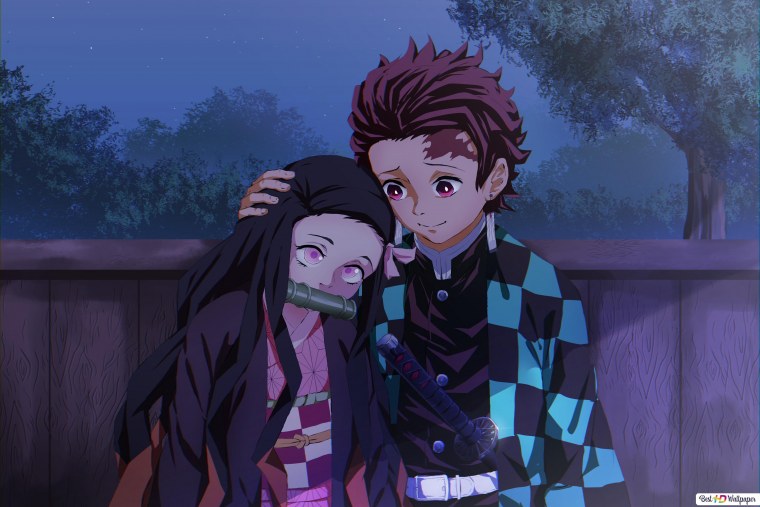 Nezuko Kamado and Tanjirou Kamado