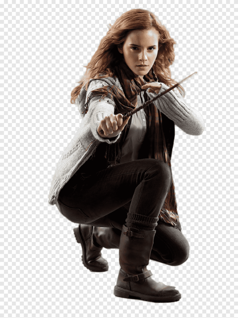 Гарри Поттер Гермиона Грейнджер Поттер