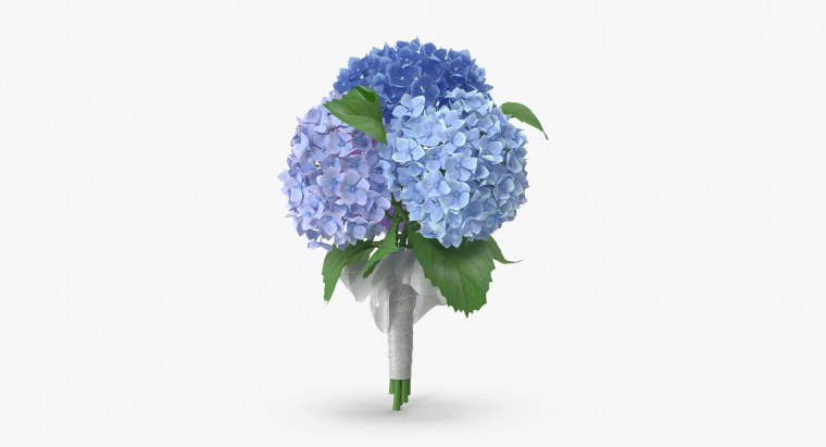 Гидрангия Селект Лилак АБС