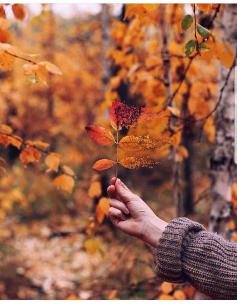 Душевная осень