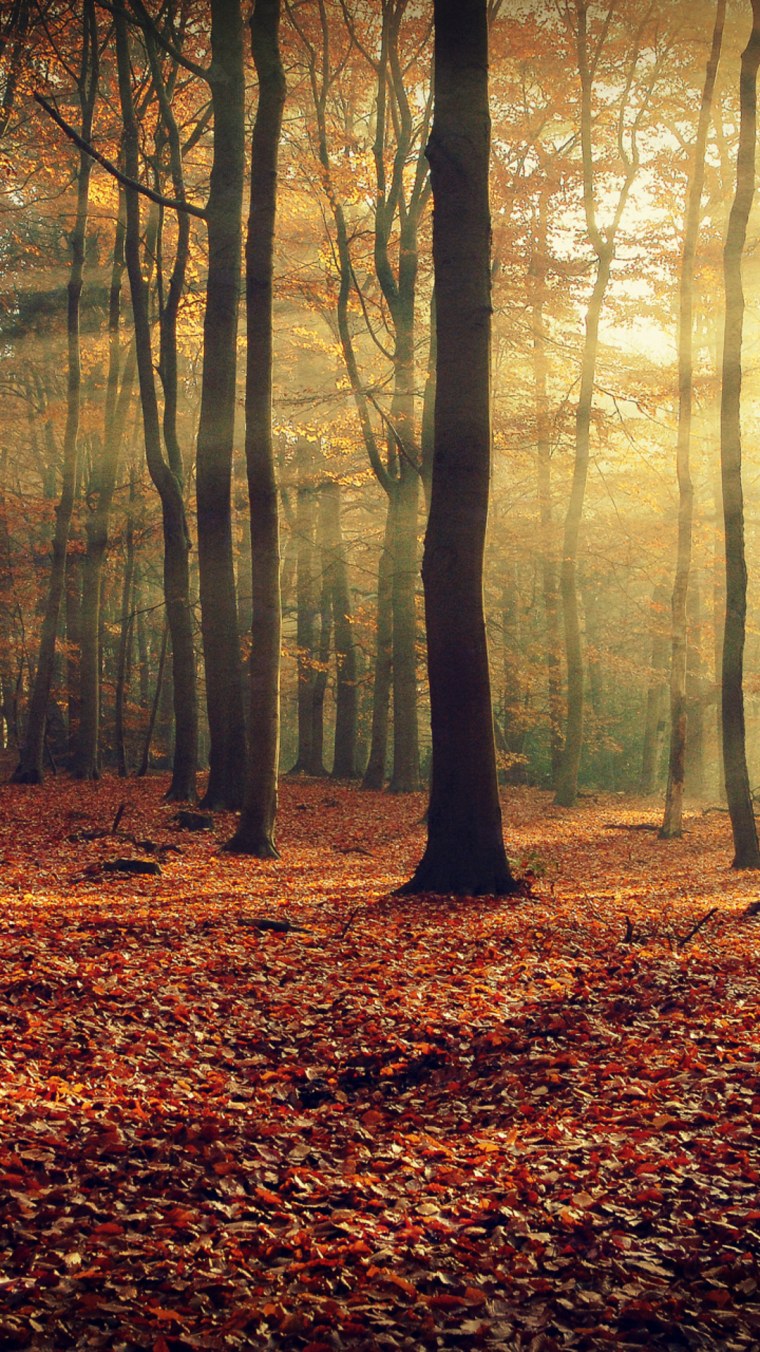 Счастливой осени