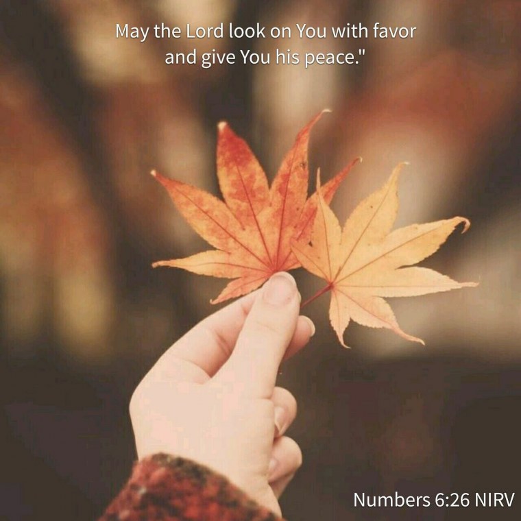 Аватар осень