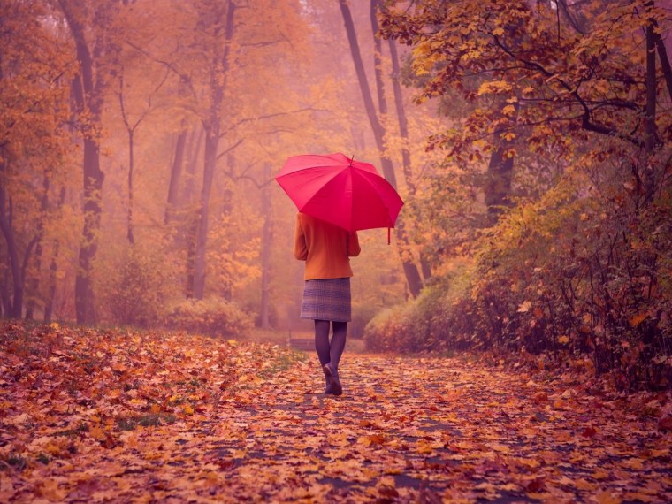 Обои на айфон поздняя осень