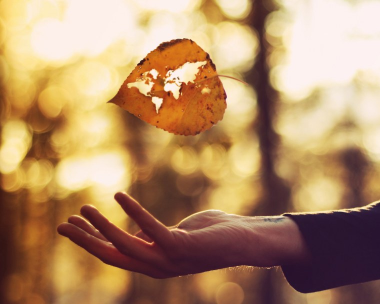 Картинки на аватарку осень со смыслом