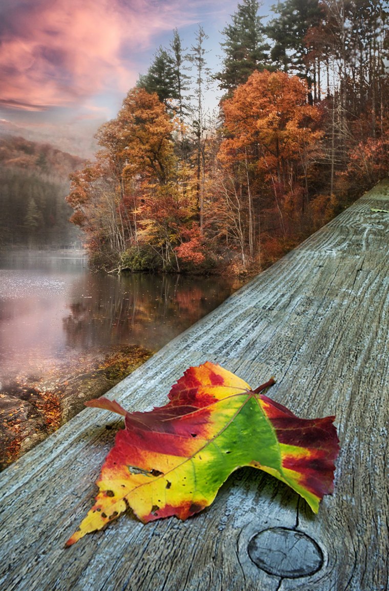 Картинки на аватарку осень