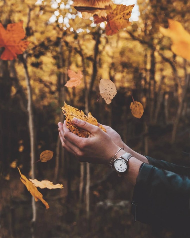 Осенние фоточки