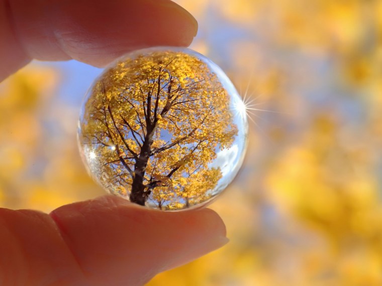 Аватарка осень для ватсапа