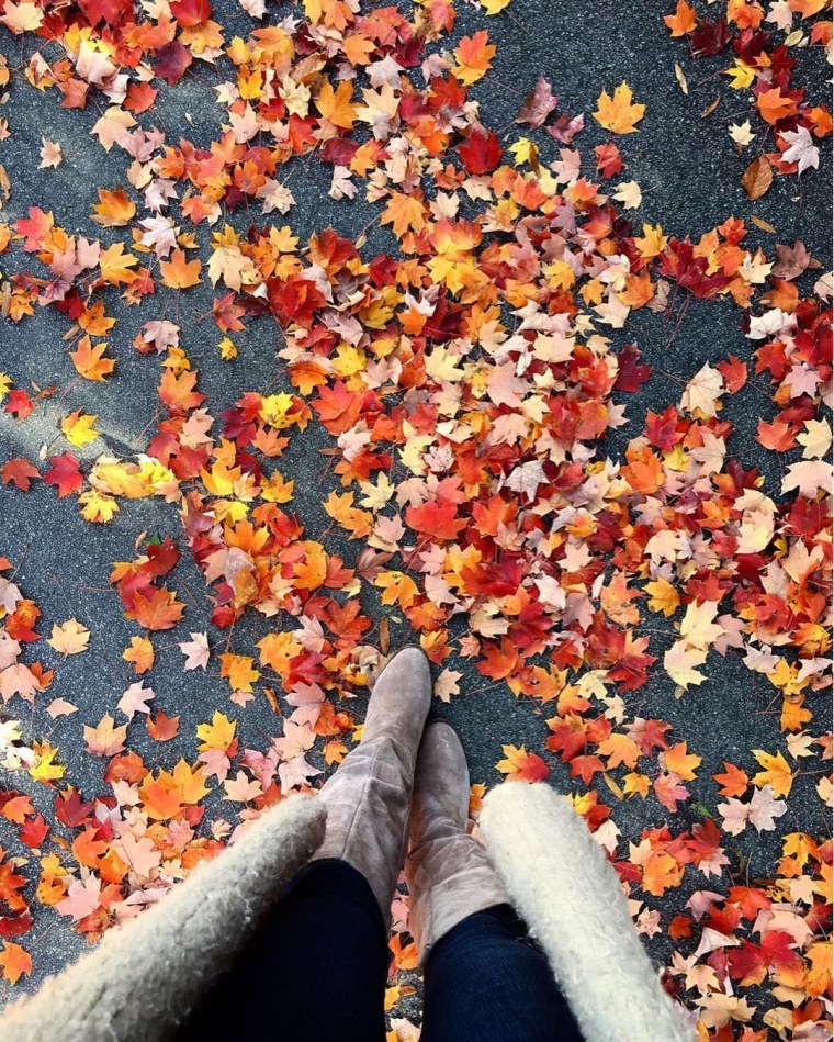 Обои на телефон осень дождь