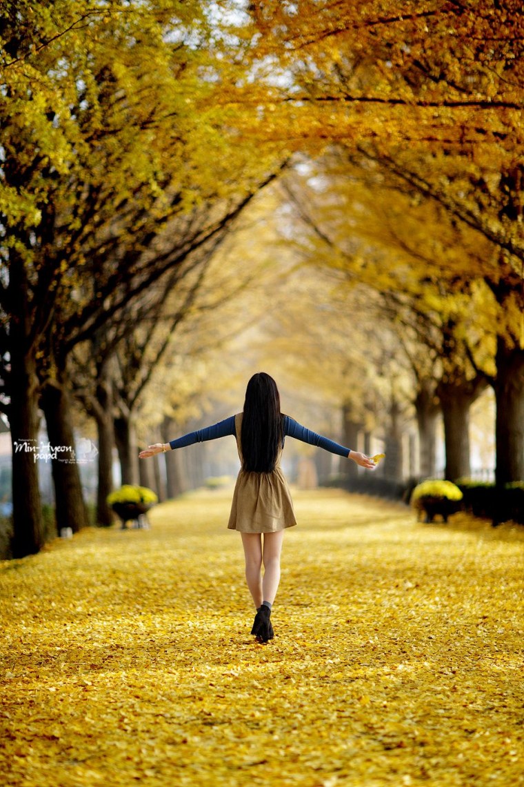 Осень девушка со спины
