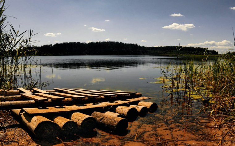 Плот из бревен