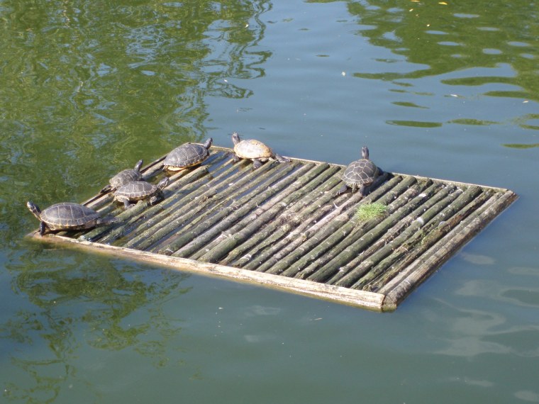 Плот для сплава по реке