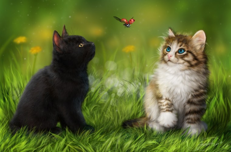 Фон с котятами