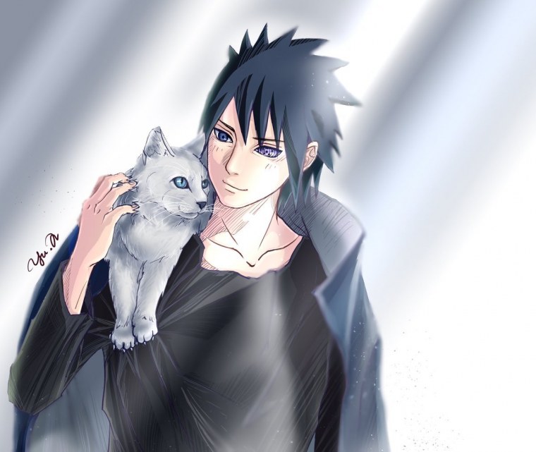 САСУНАРУ Саске кот