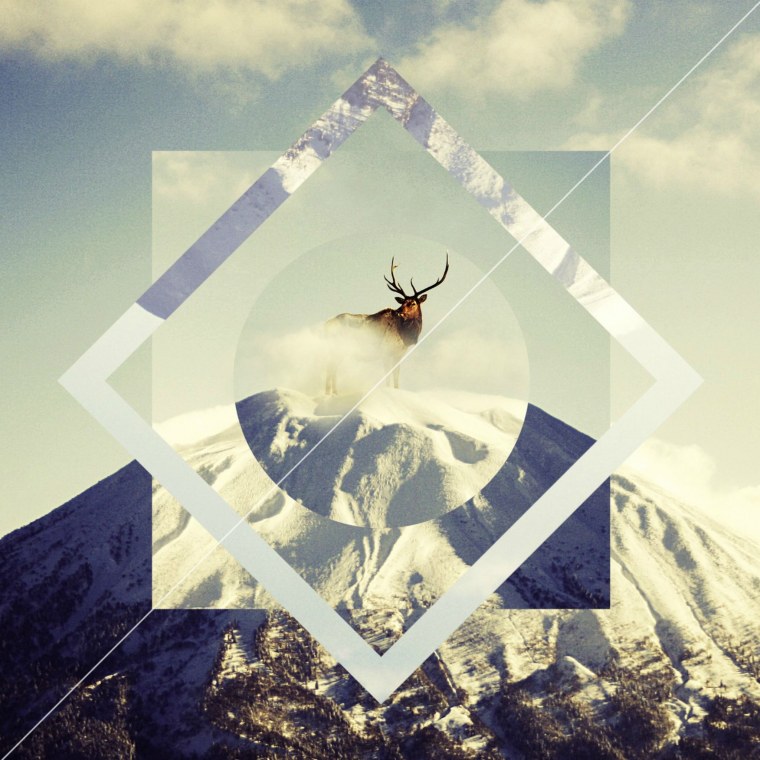 Шиповник Эстетика