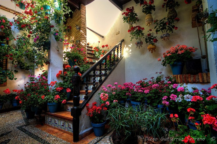 Домик с цветущим садом