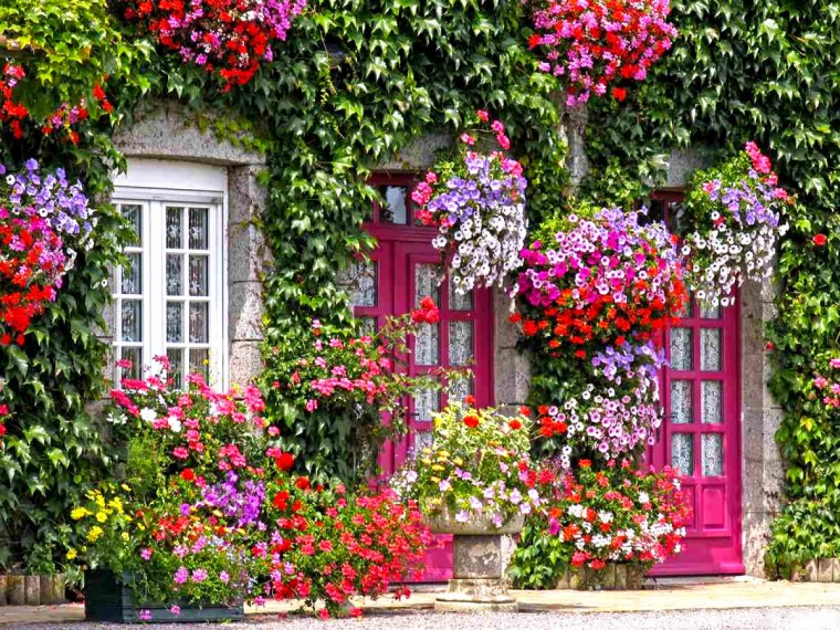 Домик в цветах