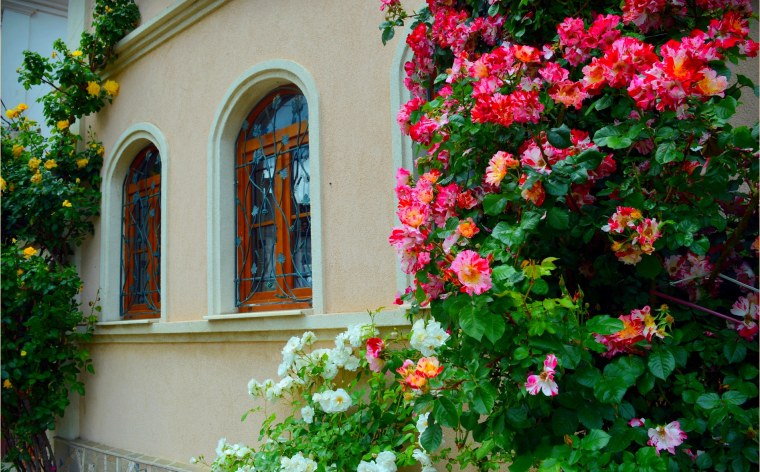 Большой красивый дом с садом