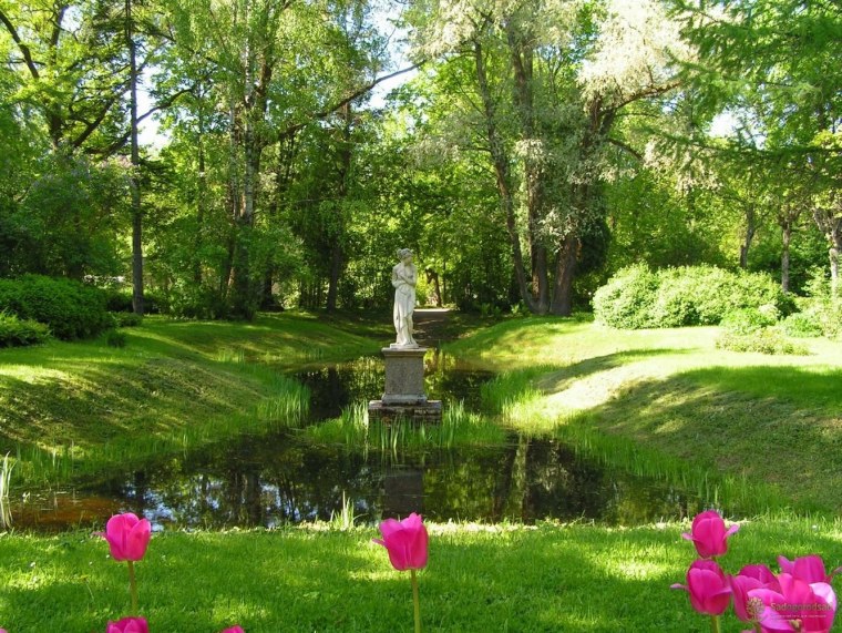 Юсуповский сад Санкт-Петербург растения