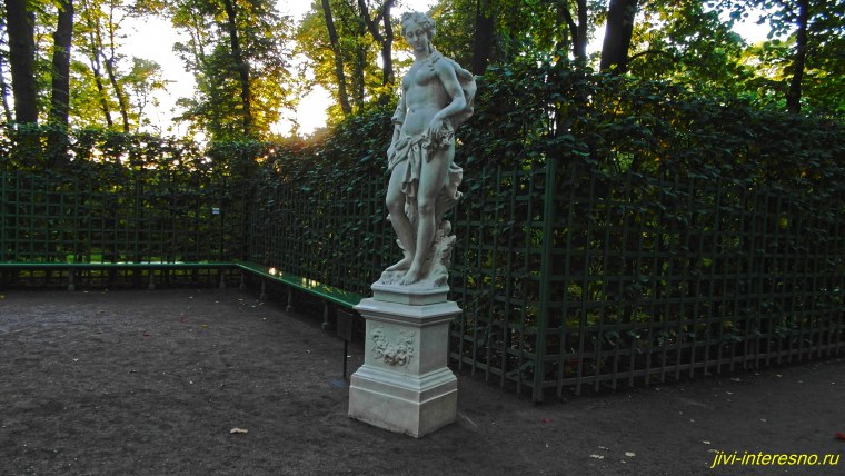 Летний Цветущий сад