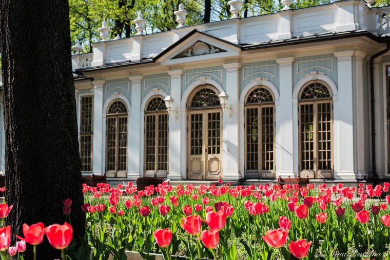 Летний сад русский музей Санкт-Петербург