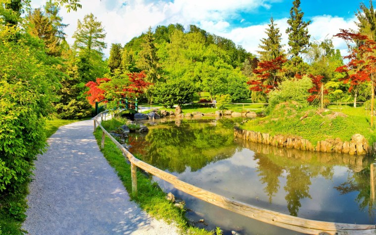 Лето в саду картинки