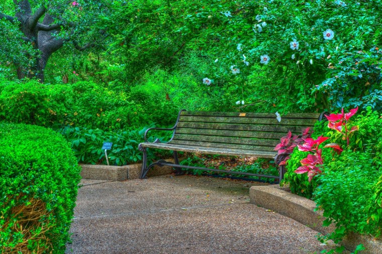 Летний парк