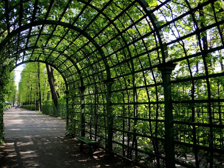 Аллея Берсо в Санкт-Петербурге