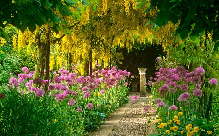 Цветы в саду