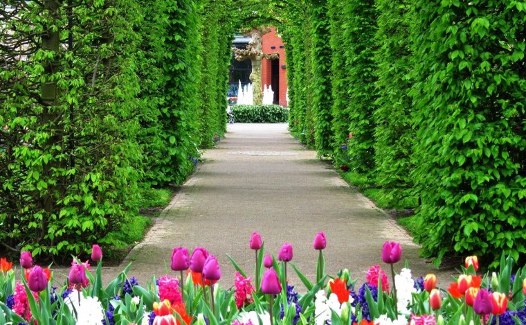 Летний сад в Санкт-Петербурге