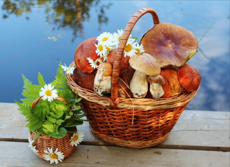 Корзина с ягодами