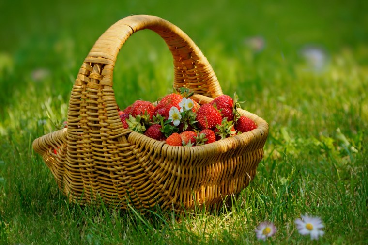 Дети с корзинкой