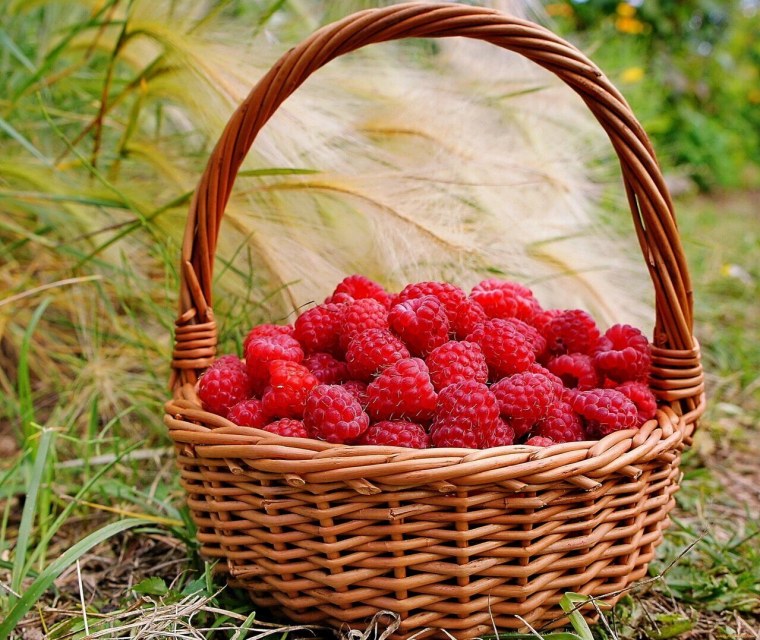 Корзина для фруктов плетеная