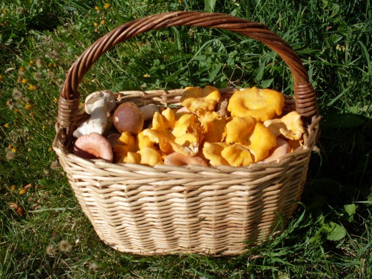 Корзина с грибами