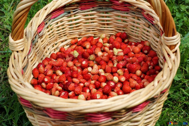 Красивая корзинка для детей