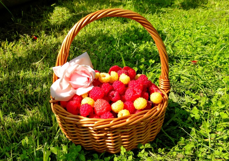 Корзинка на белом фоне