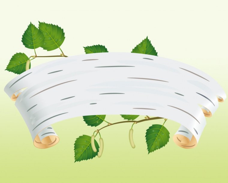 Кора березы рисунок