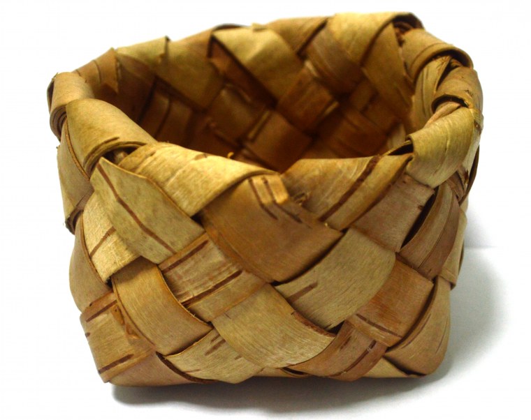 Березовая кора вектор