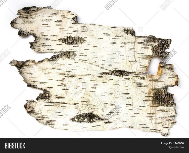 Берестяная обложка фон