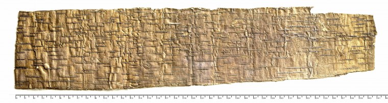 Картинка береста на прозрачном фоне