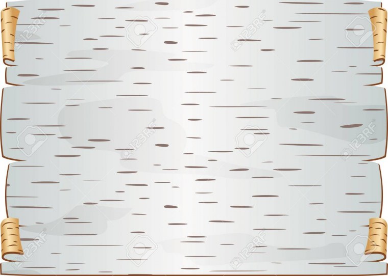 Береста березы