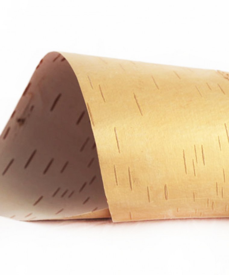 Береста фон