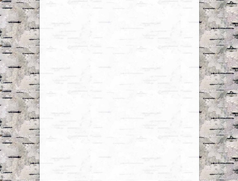 Береста свиток