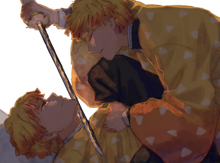 Зеницу Агацума x Иноске Хашибира