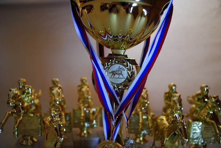 Эмблема 1 место