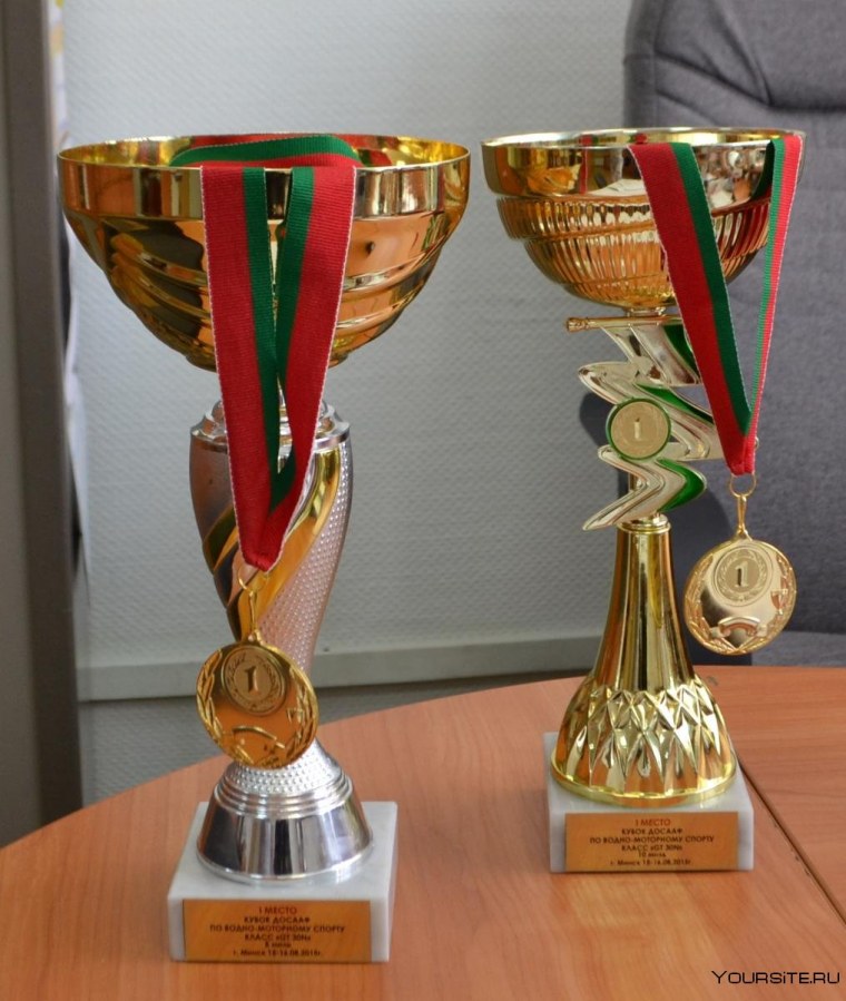 Медель за первое место