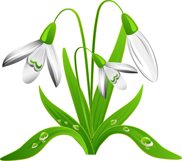 Подснежник мультяшный