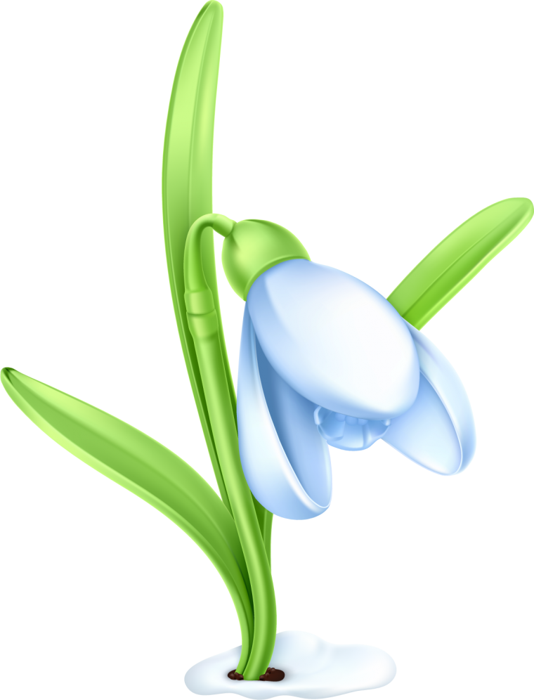 Подснежник для детей